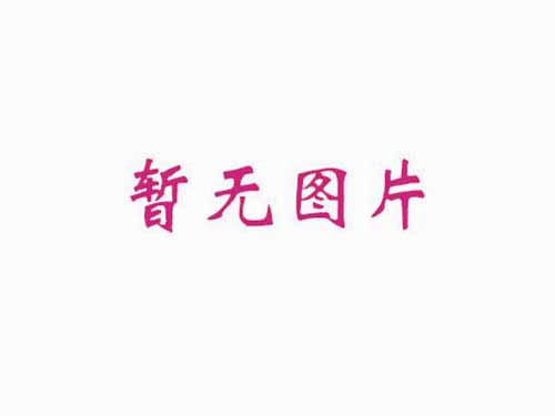 IES-3080 工业网络交换机